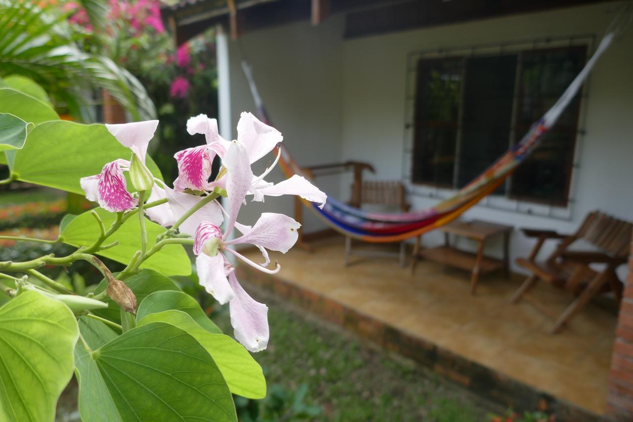 Escape Caribeno Puerto Viejo de Talamanca Exterior foto
